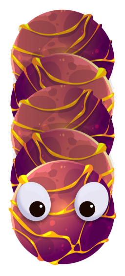 Vortexara